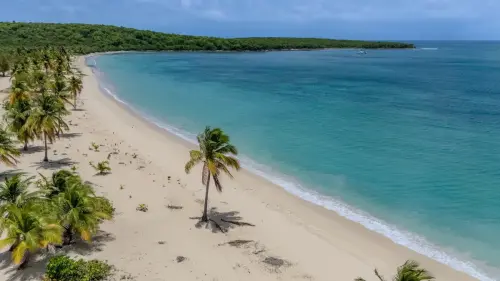 DJI_20250514120915_0048_D-HDR