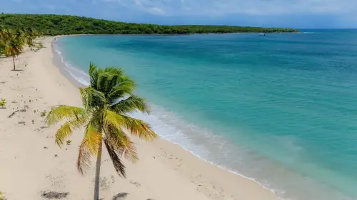 DJI_20250514120937_0054_D-HDR