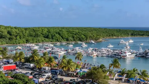 DJI_20250524170333_0271_D-HDR